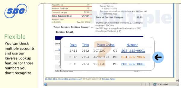 Enlargement of unknown phone numbers from sample bill.