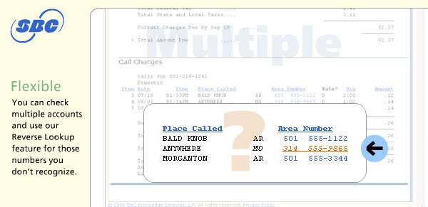 Enlargement of unknown phone numbers from sample bill.