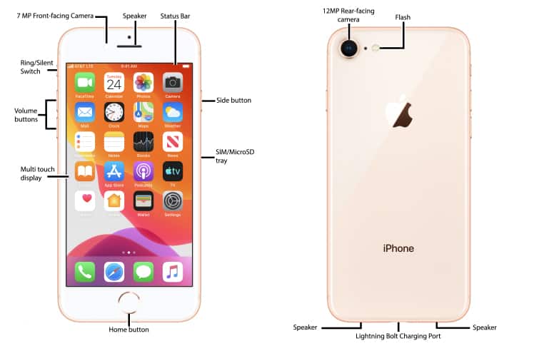 Apple iPhone 8 / 8 Plus Diagram - AT&T Device Support