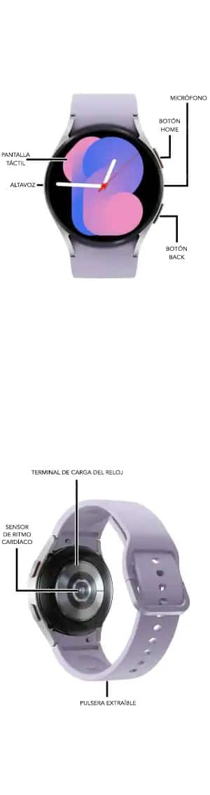 Diagrama del dispositivo