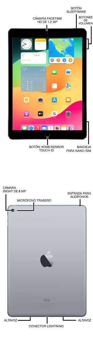 Diagrama del dispositivo