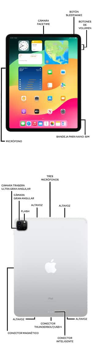 Diagrama del dispositivo