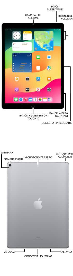 Diagrama del dispositivo