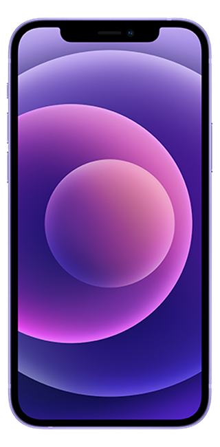 apple purple iphone 12
