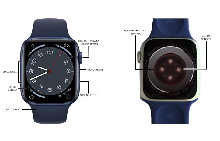 Apple Watch Series 6 (40mm / 44mm) Diagram - AT&T Device Support