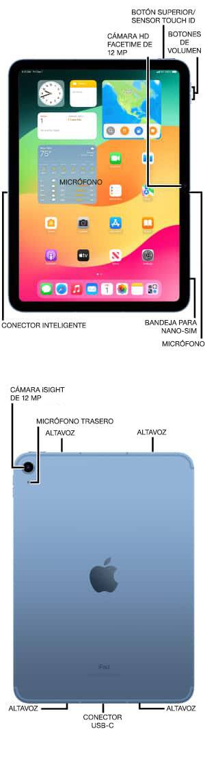 Diagrama del dispositivo