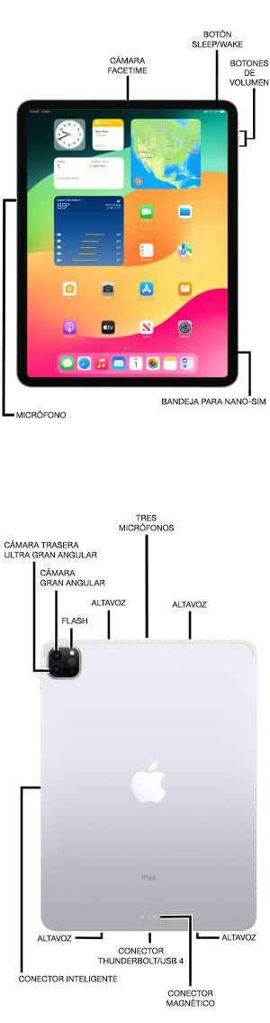 Diagrama del dispositivo