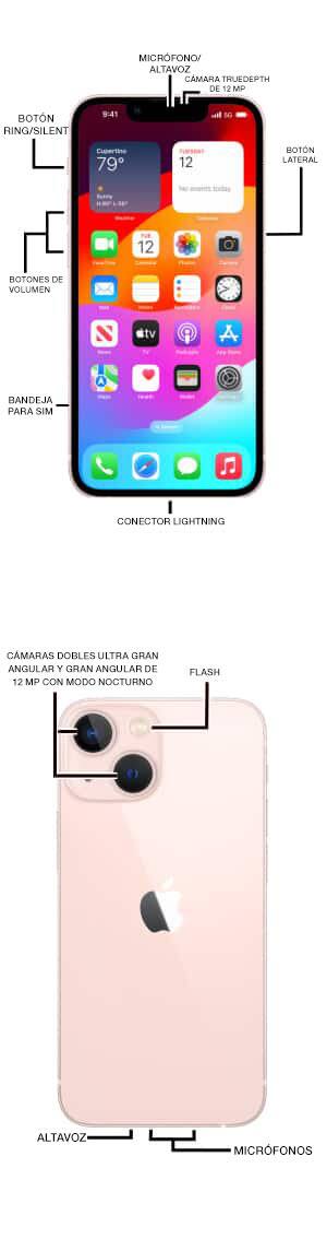 Diagrama del dispositivo