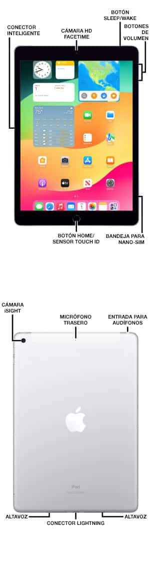 Diagrama del dispositivo