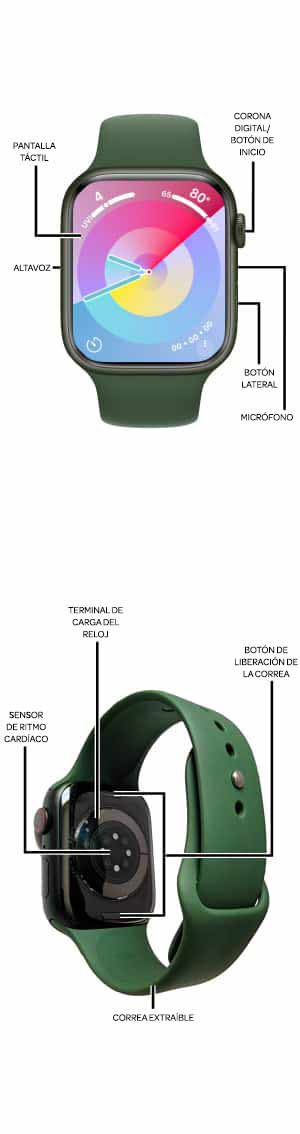 Diagrama del dispositivo