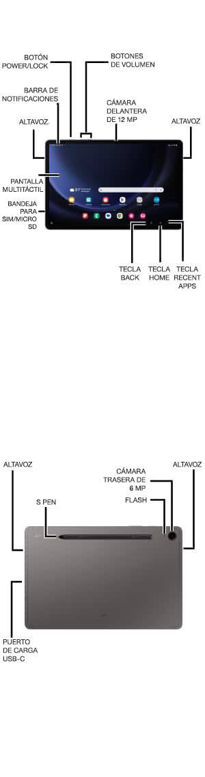 Diagrama del dispositivo