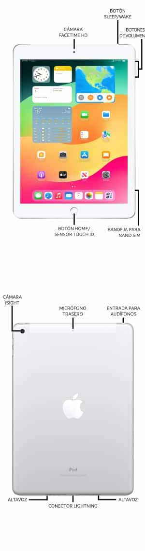 Diagrama del dispositivo