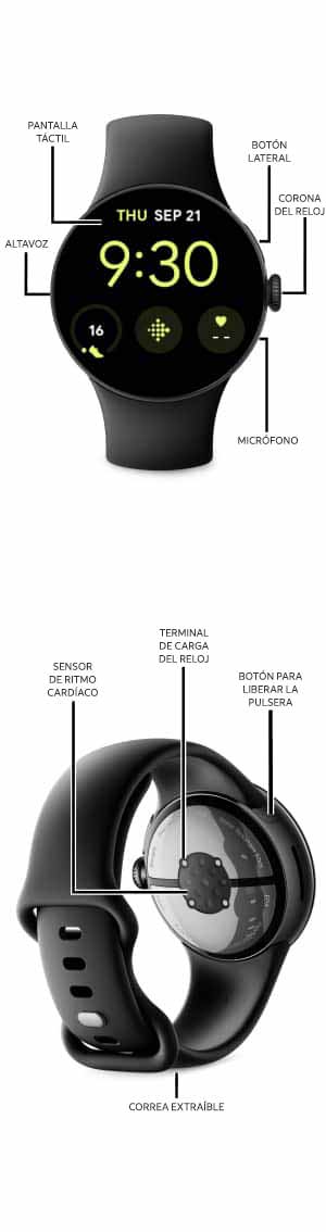 Diagrama del dispositivo