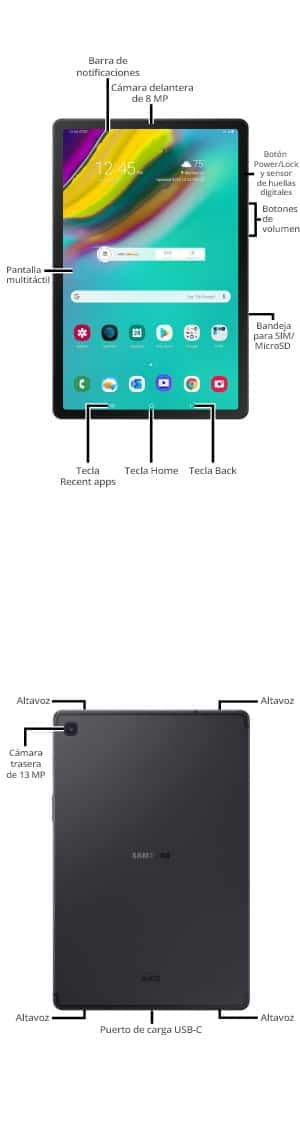 Diagrama del dispositivo