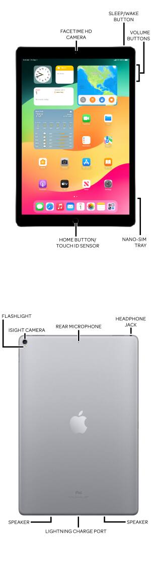 Diagrama del dispositivo