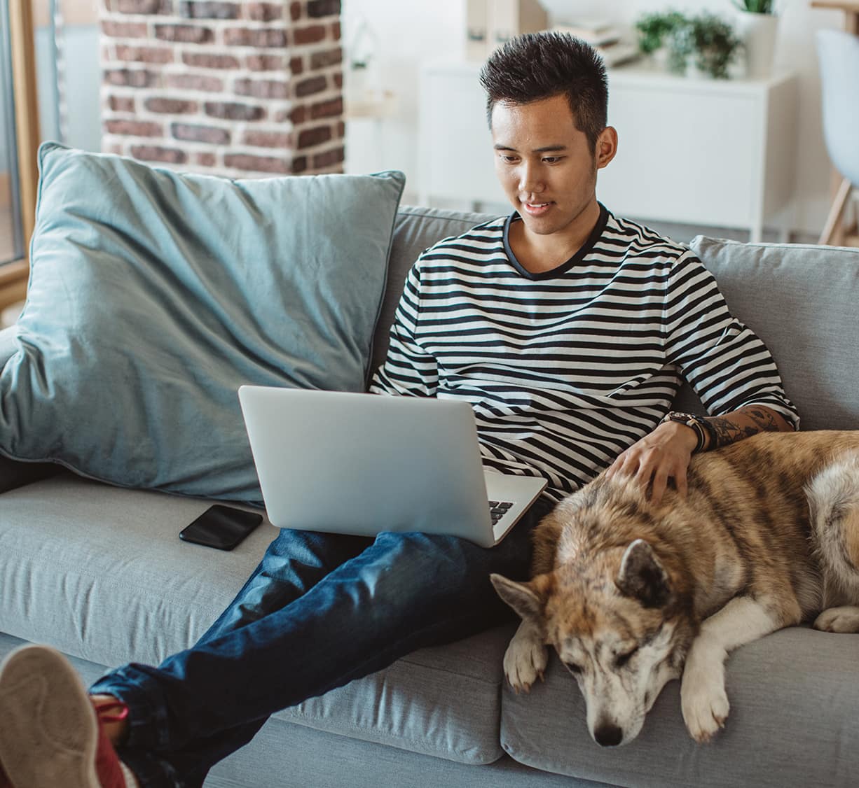 boy looking laptop and dog sitting beside him on sofa.